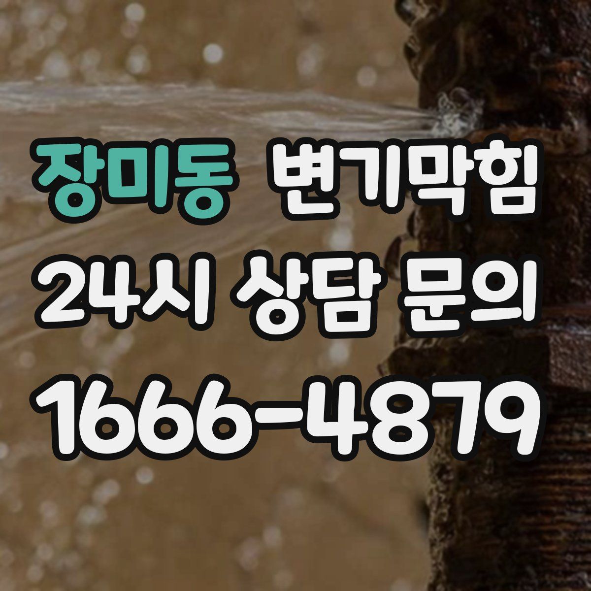 장미동 변기막힘