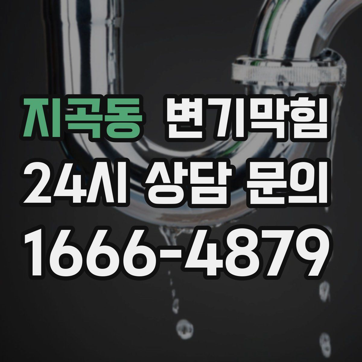 지곡동 변기막힘