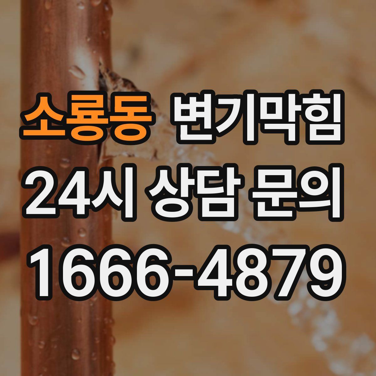 소룡동 변기막힘