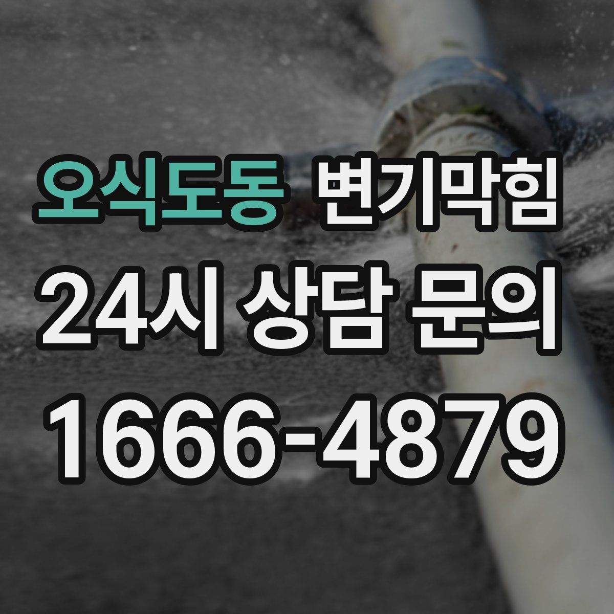 오식도동 변기막힘