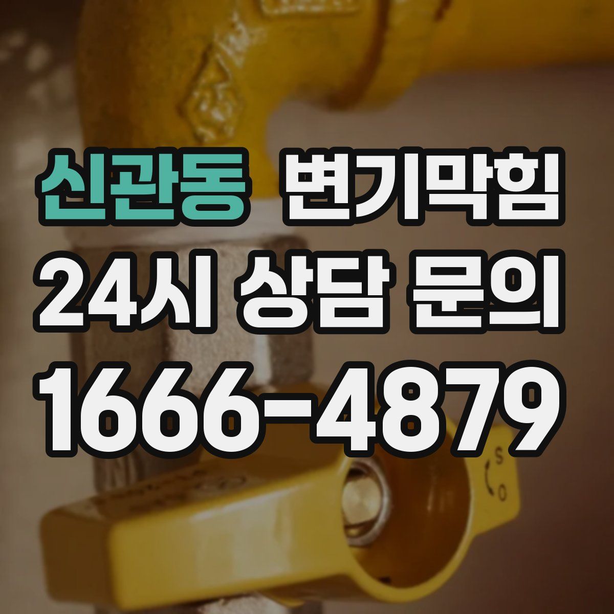 신관동 변기막힘