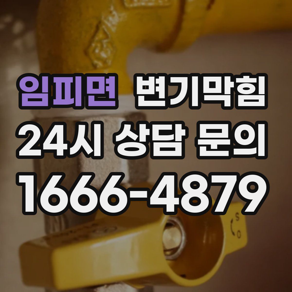 임피면 변기막힘