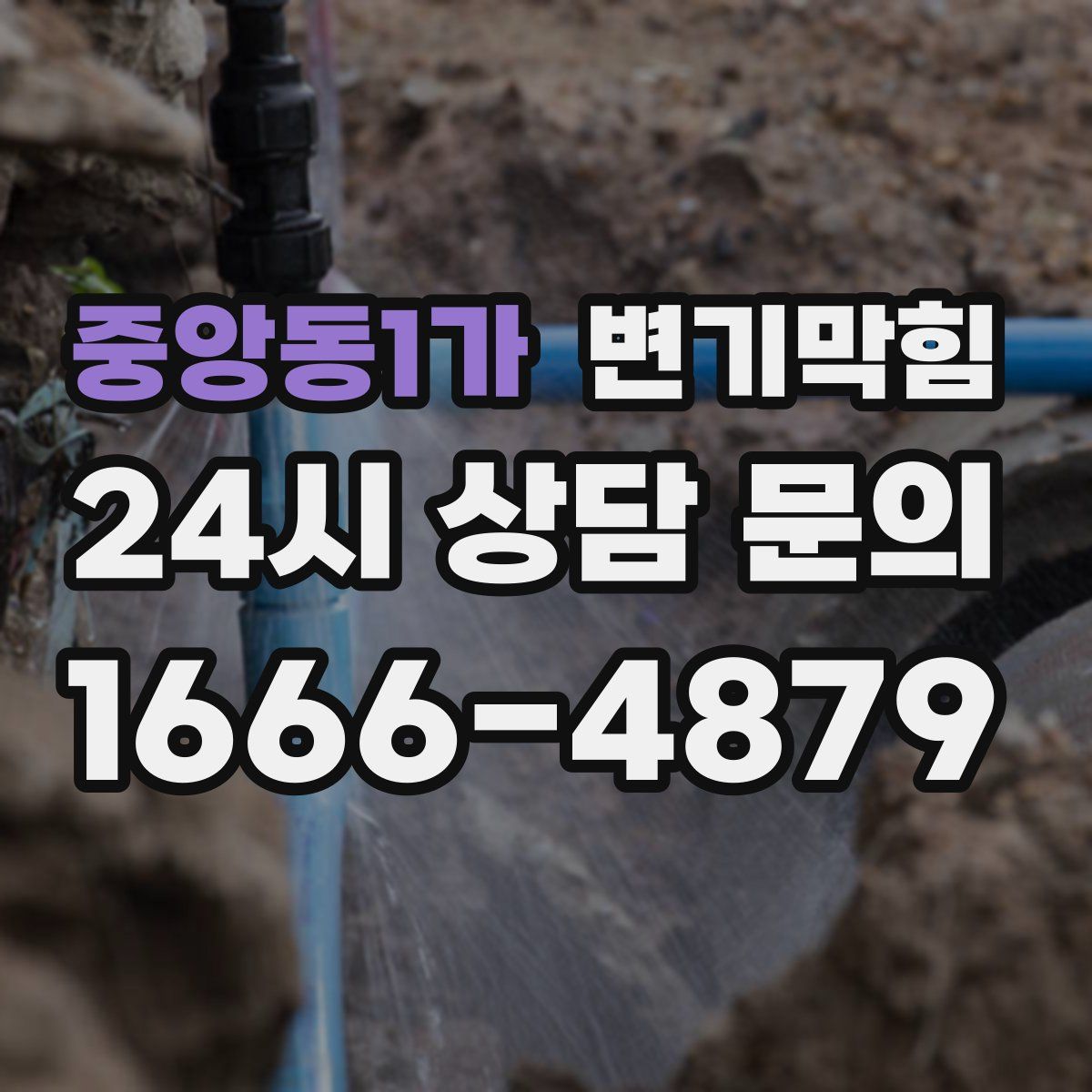 중앙동1가 변기막힘