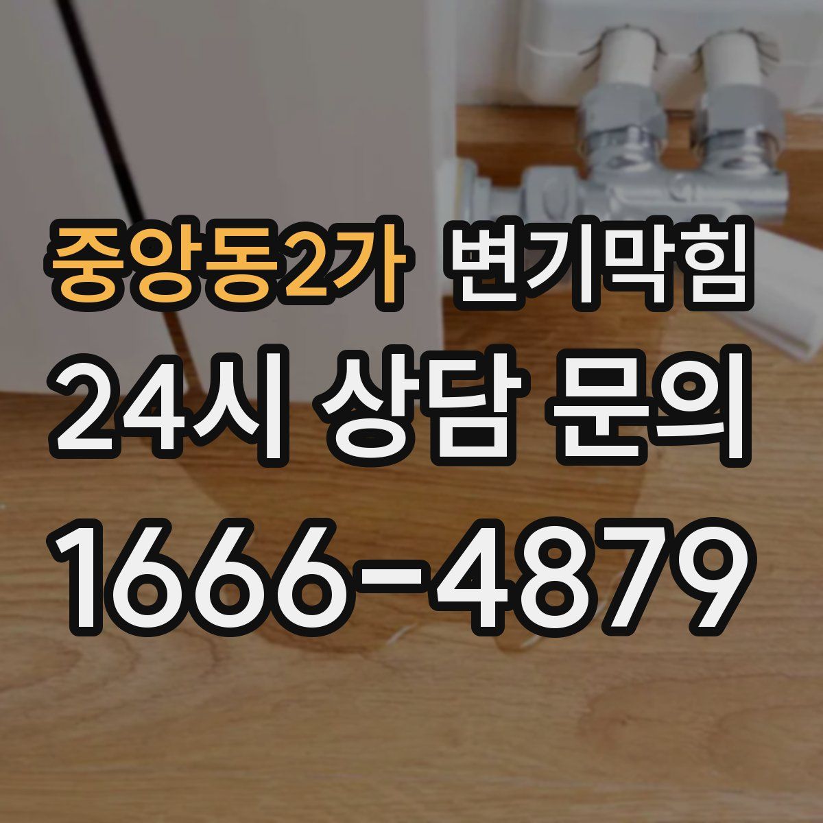 중앙동2가 변기막힘