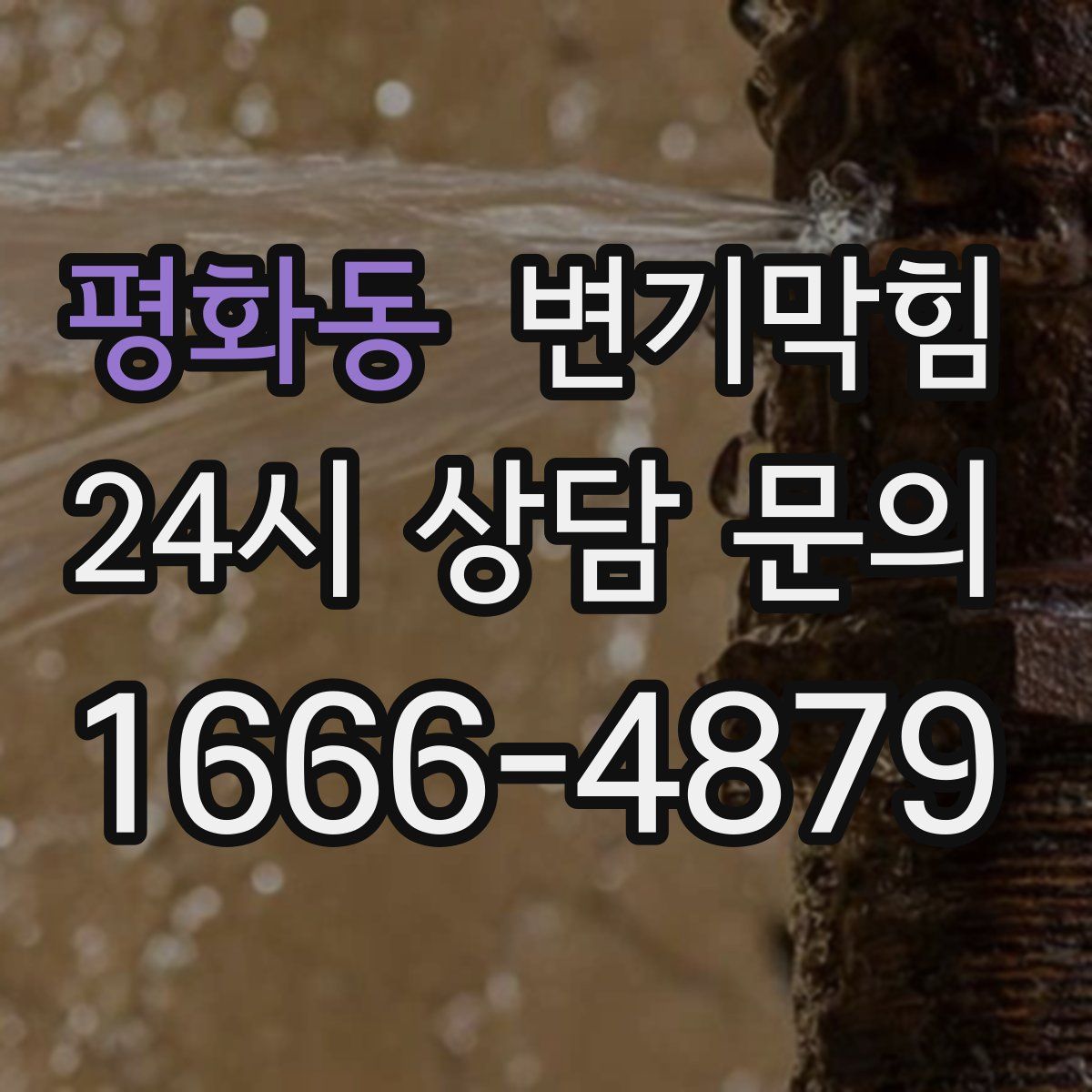 평화동 변기막힘