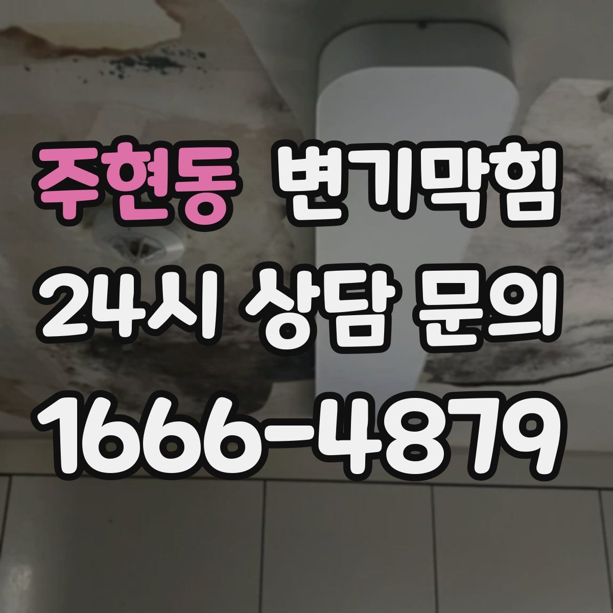 주현동 변기막힘