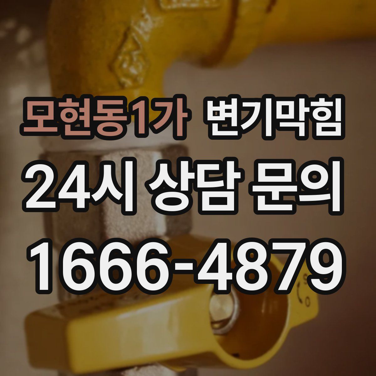 모현동1가 변기막힘