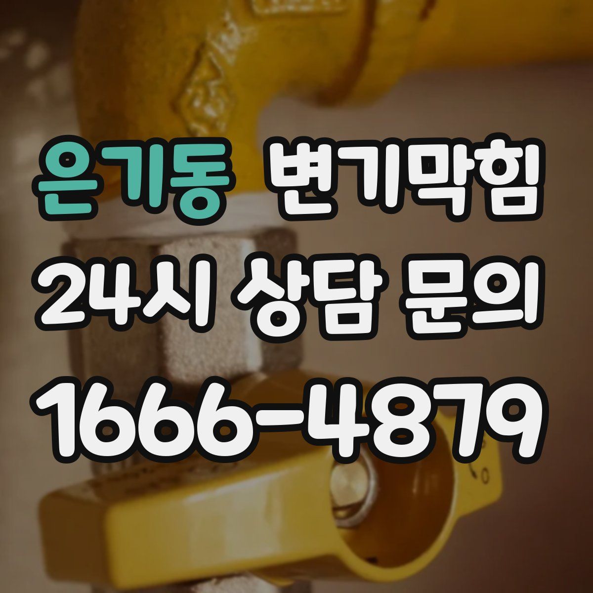 은기동 변기막힘