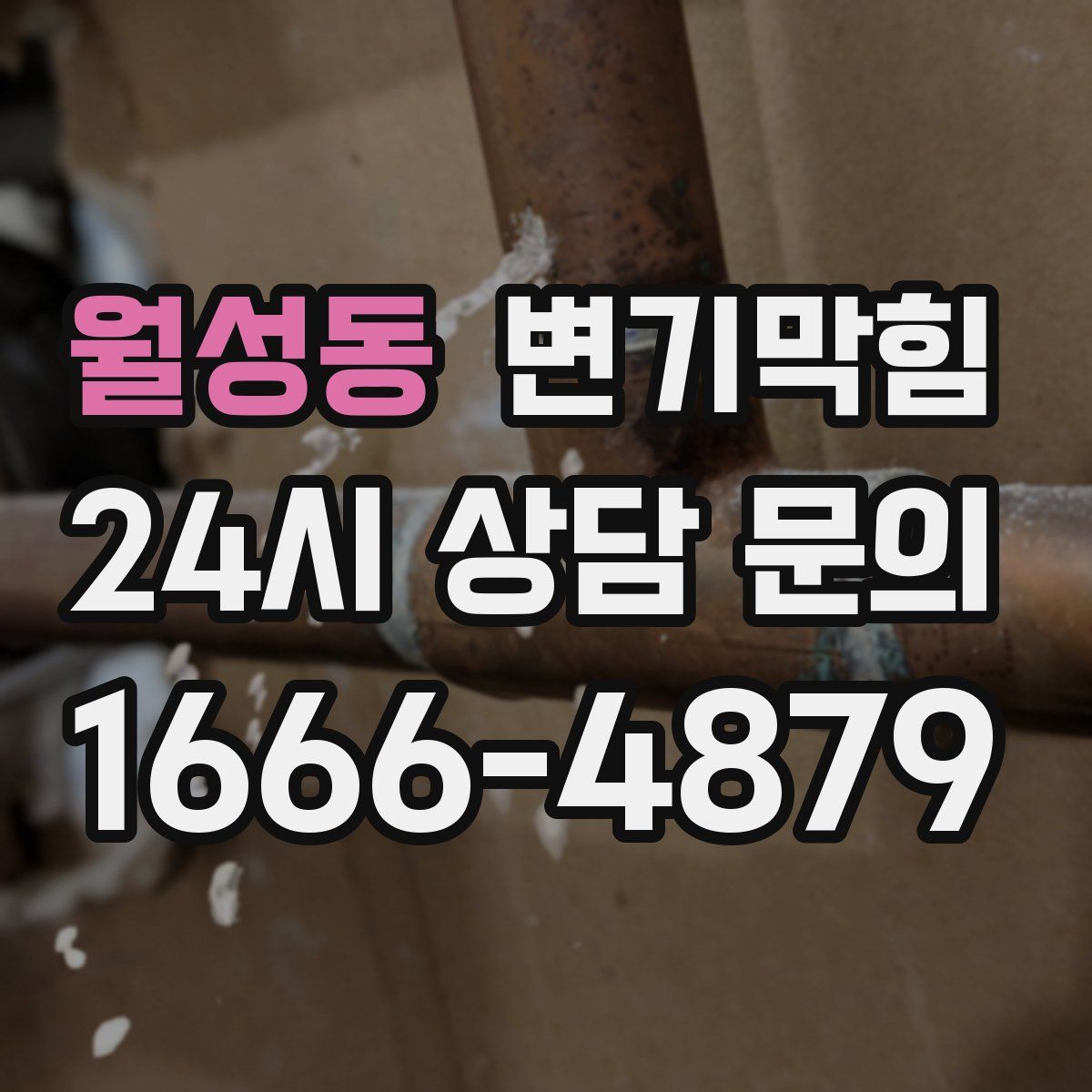 월성동 변기막힘