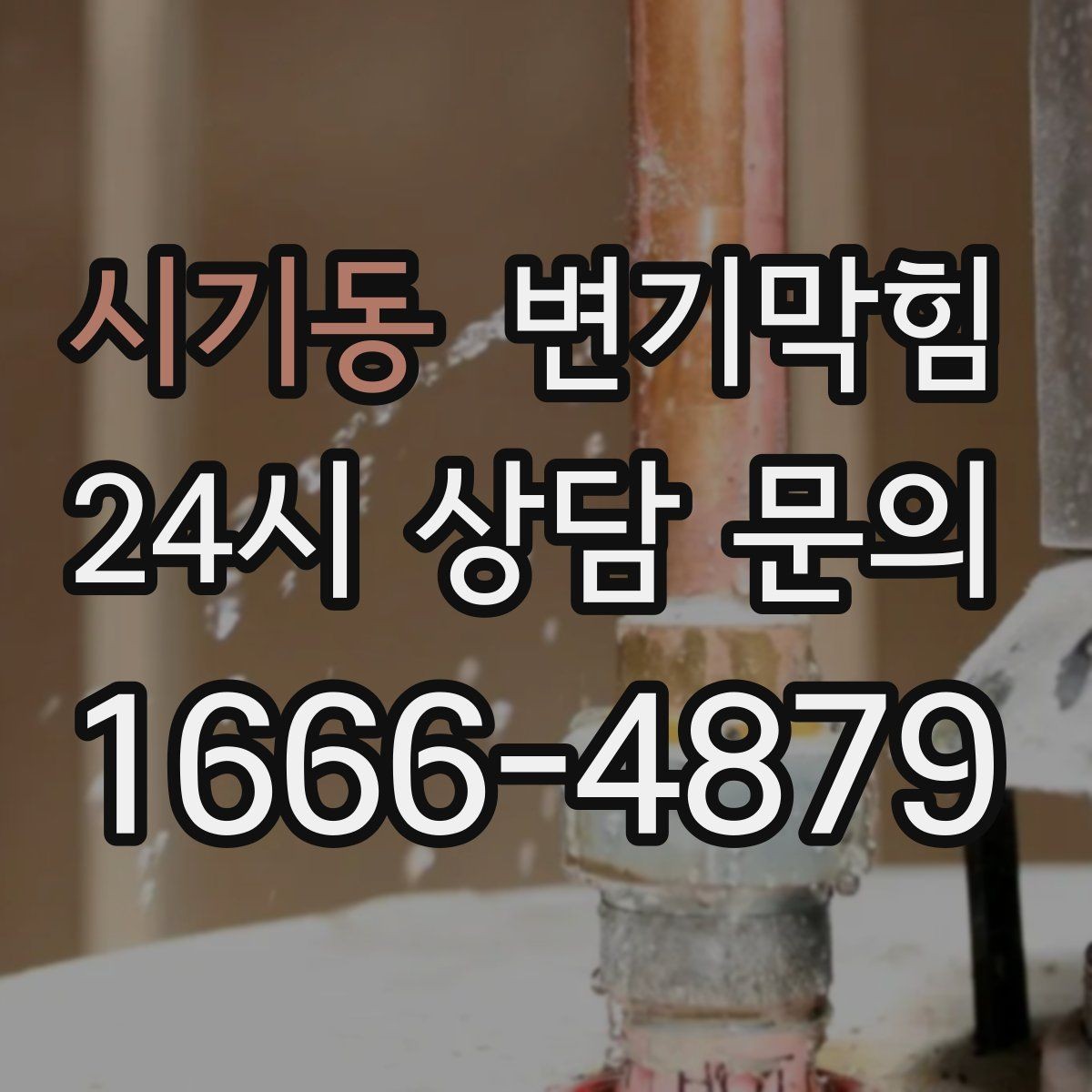 시기동 변기막힘 변기막혔을때 장판 젖음 확인 루틴