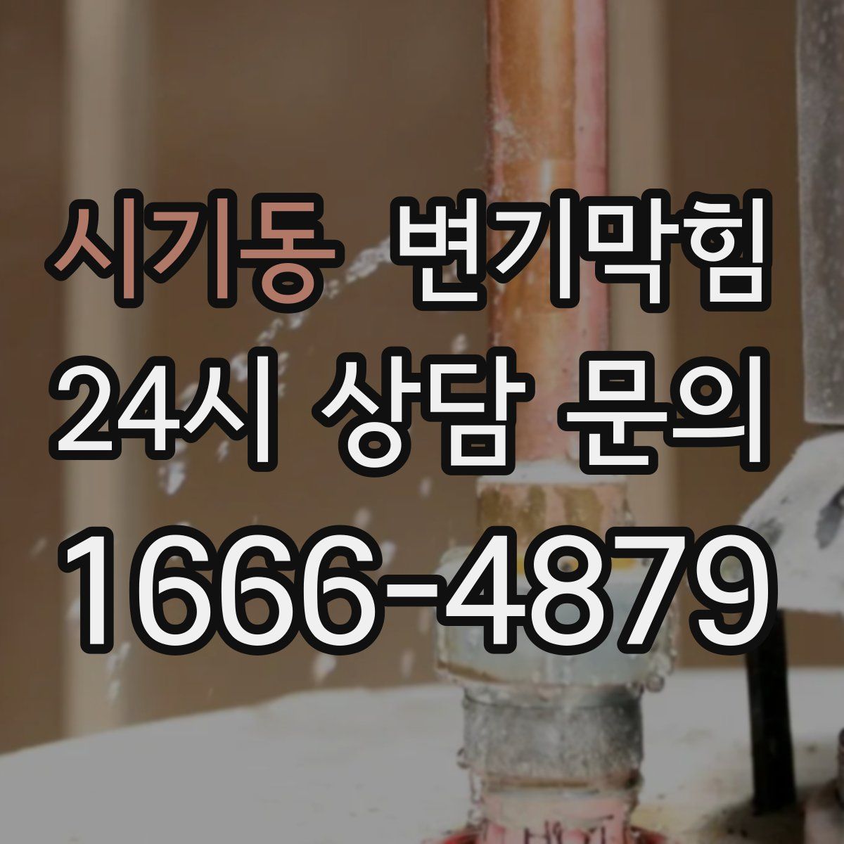 시기동 변기막힘