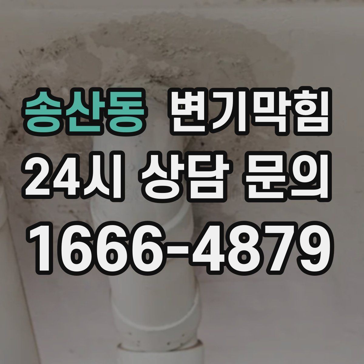 송산동 변기막힘 다가구 화장실역류 공용 트랩 보강