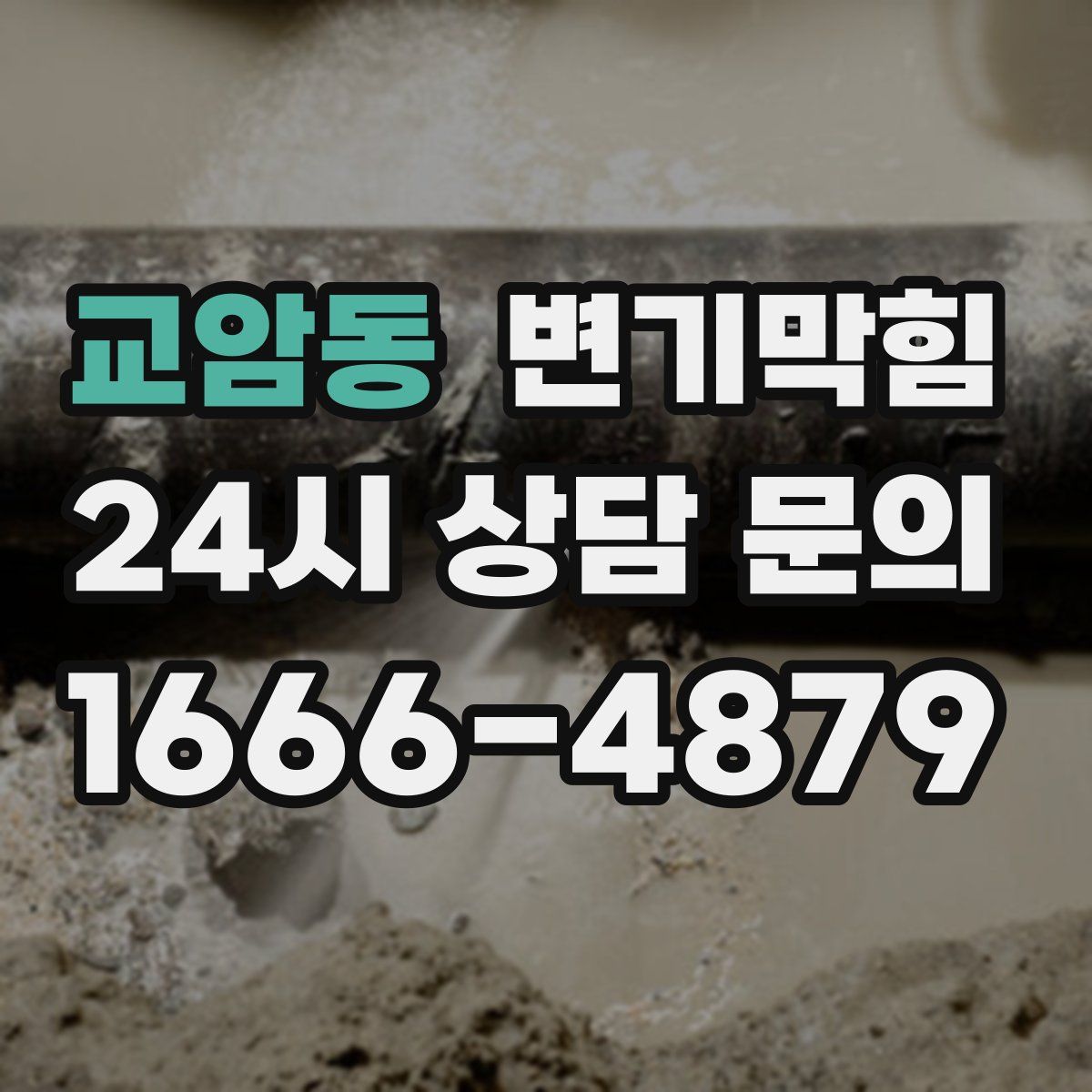 교암동 변기막힘