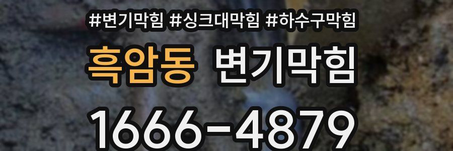 변기막힘