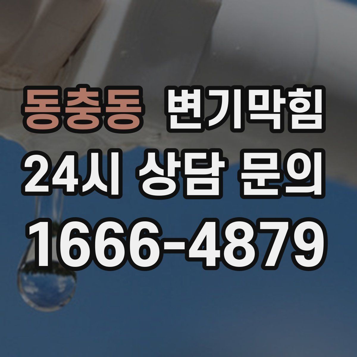 동충동 변기막힘 카페 화장실역류 저녁 손님 전 마감