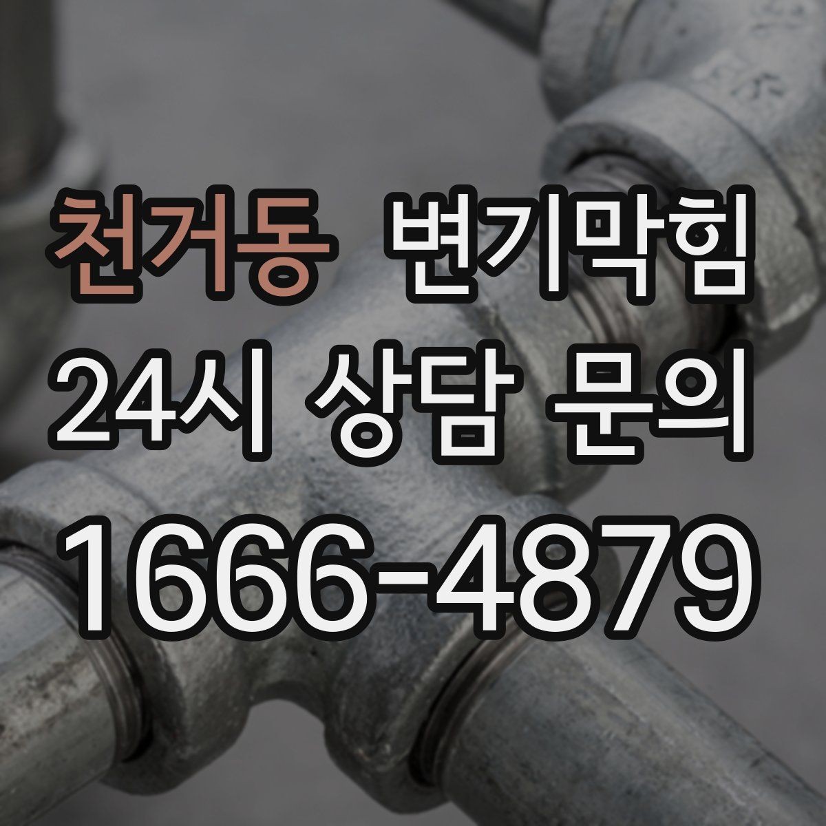 천거동 변기막힘 카페 화장실역류 냄새 루트 차단