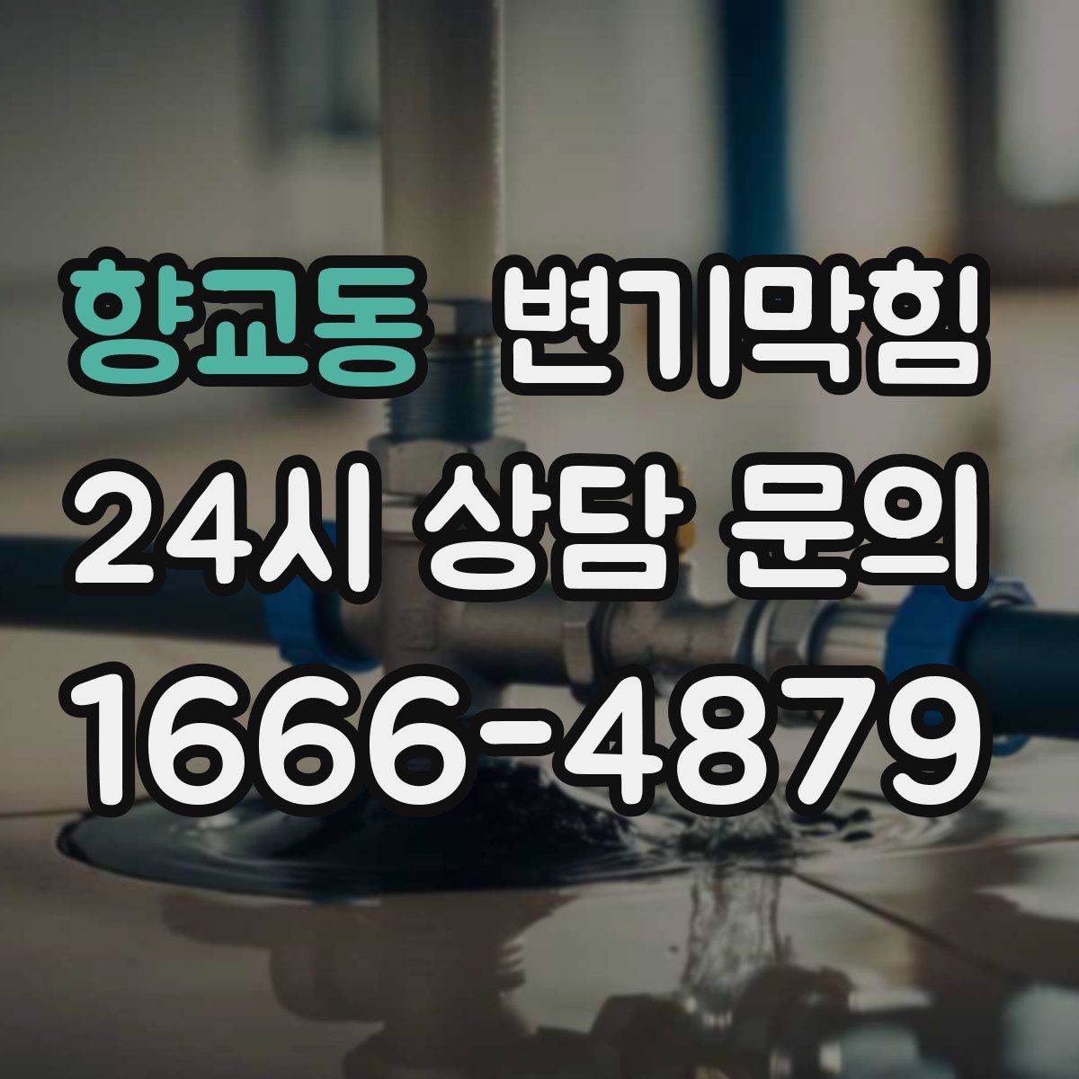 향교동 변기막힘