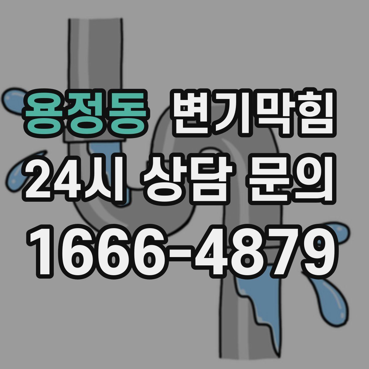 용정동 변기막힘