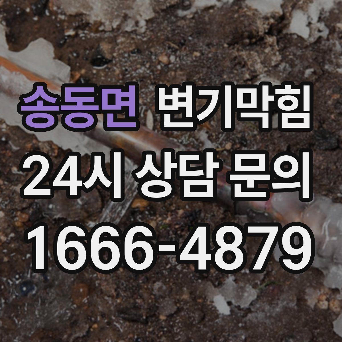 송동면 변기막힘 변기 막혔을 때 장시간 방치의 위험성