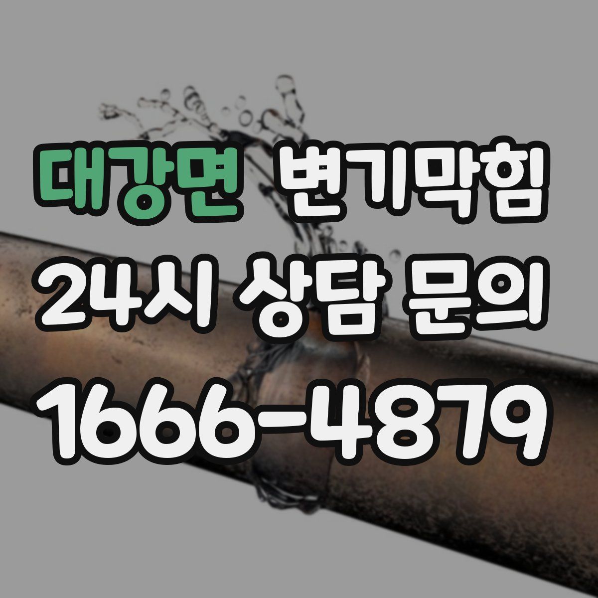 대강면 변기막힘