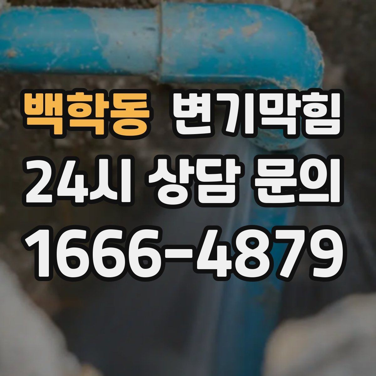 백학동 변기막힘 식당 화장실역류 소음·냄새 동시 차단