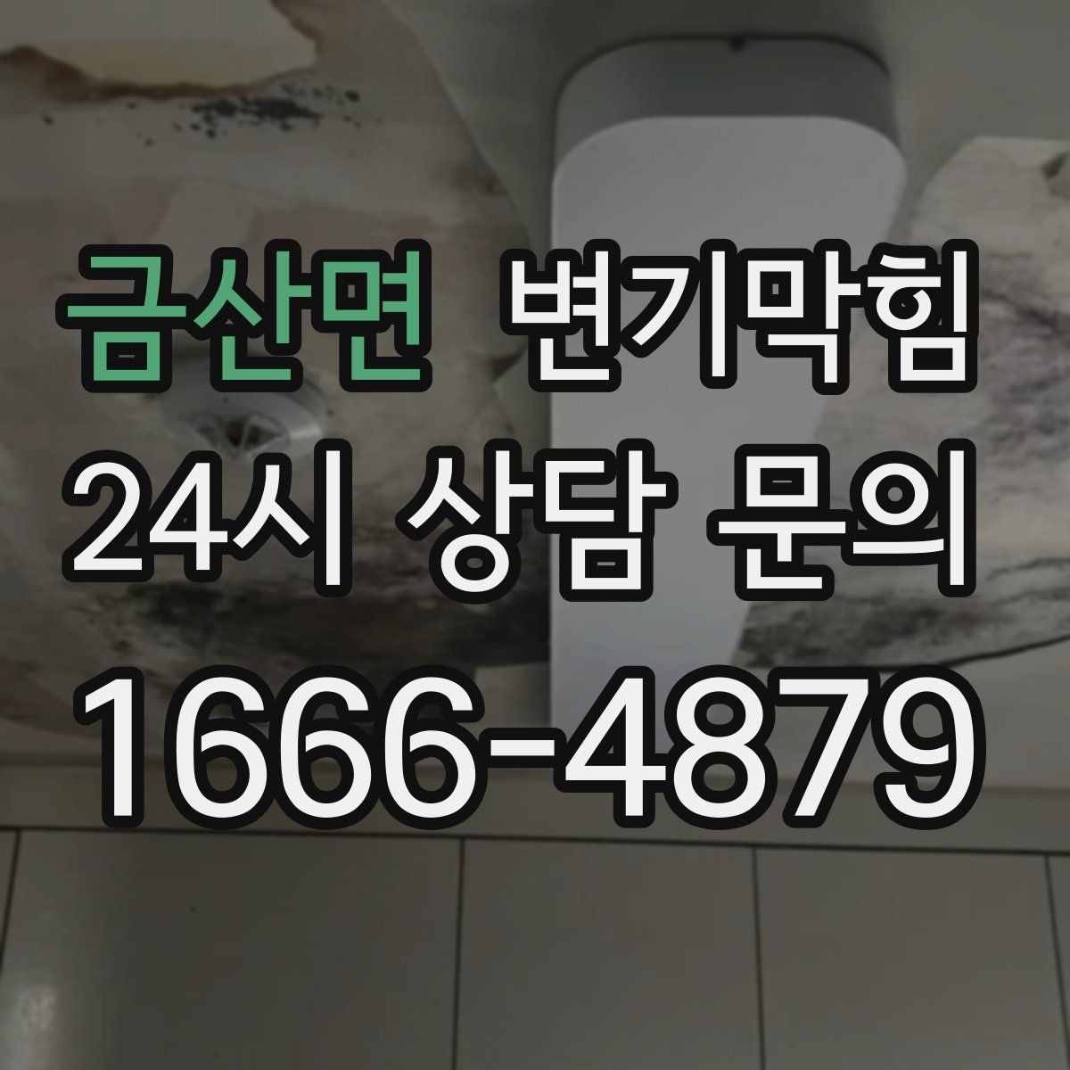 금산면 변기막힘 식당 화장실막힘 주방·홀 분리