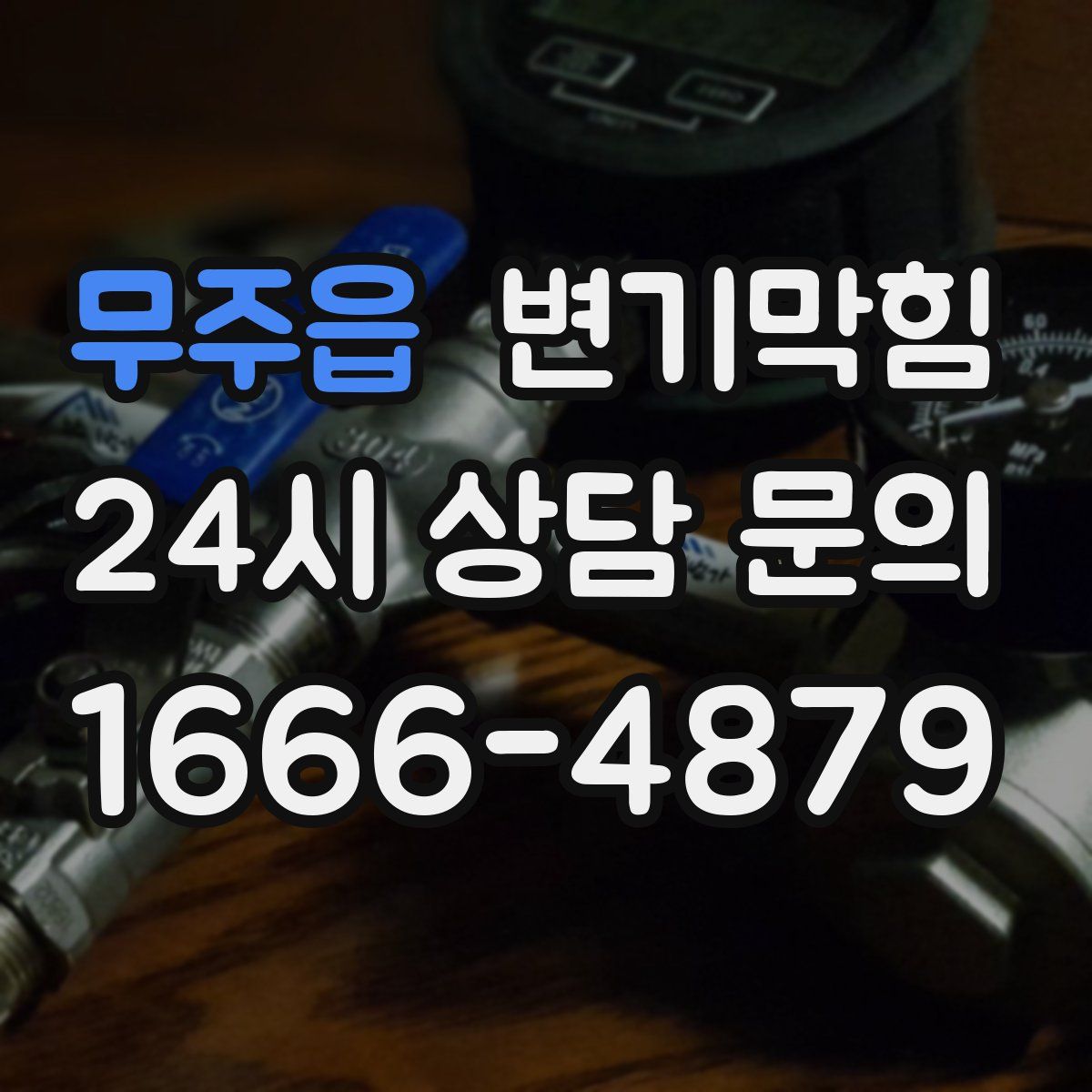 무주읍 변기막힘