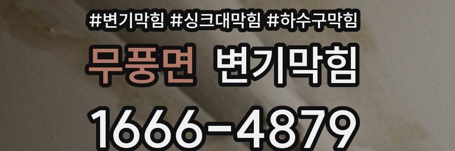 변기막힘