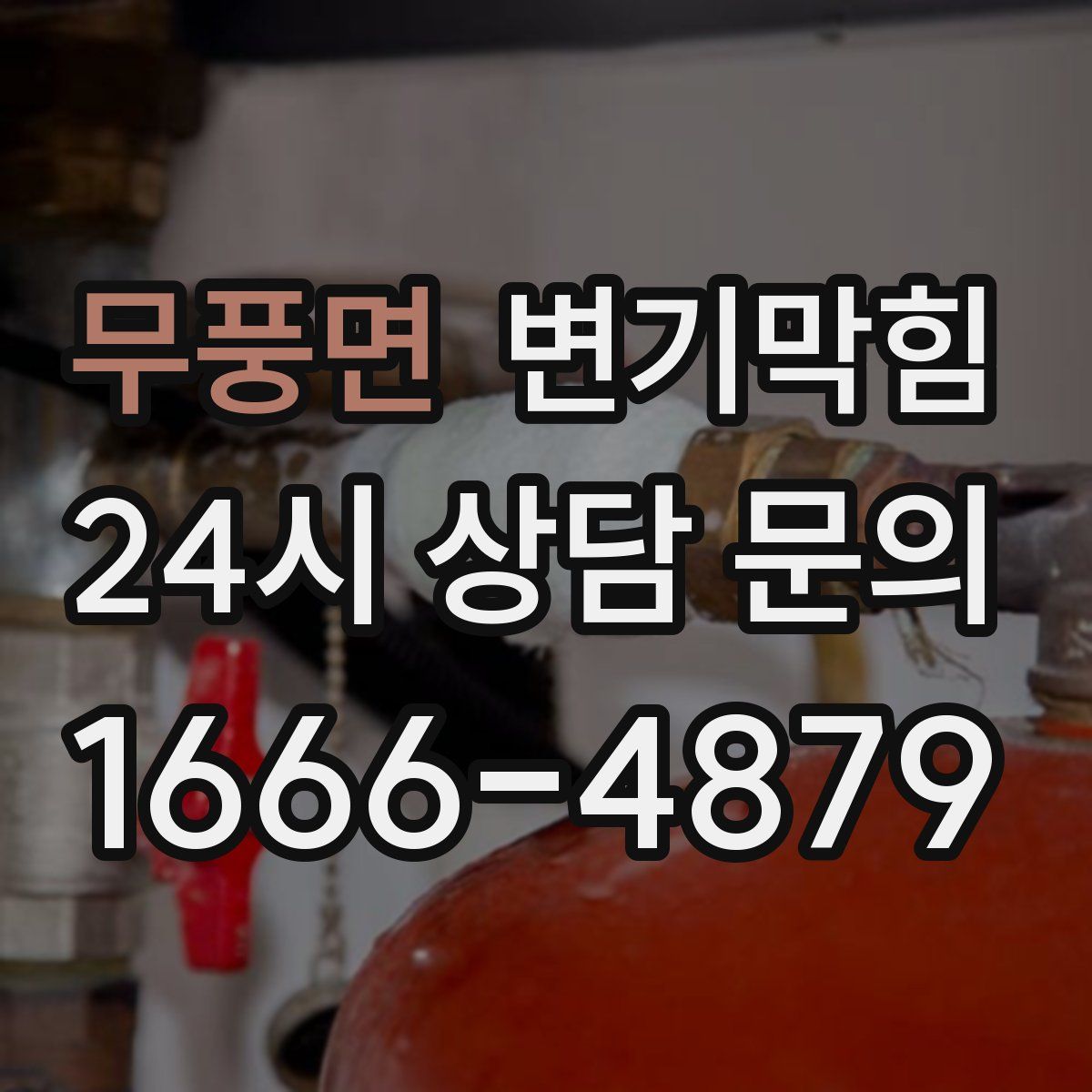 무풍면 변기막힘