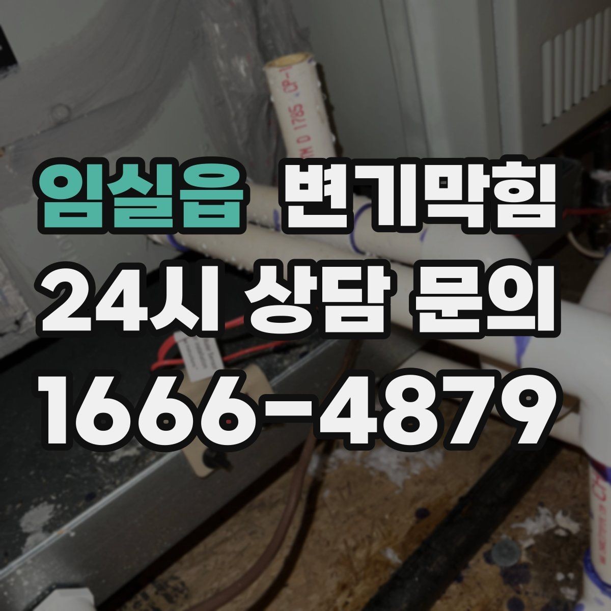 임실읍 변기막힘 미용실 화장실뚫기로 민원 감소