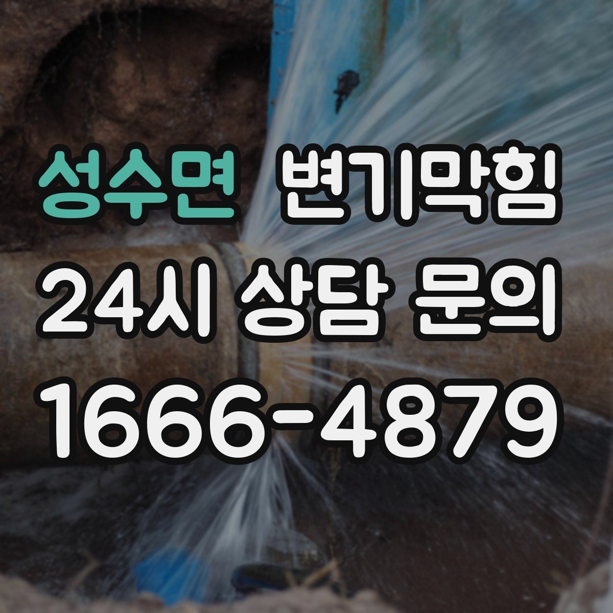 성수면 변기막힘