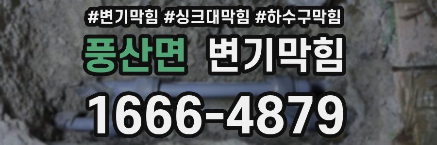변기막힘