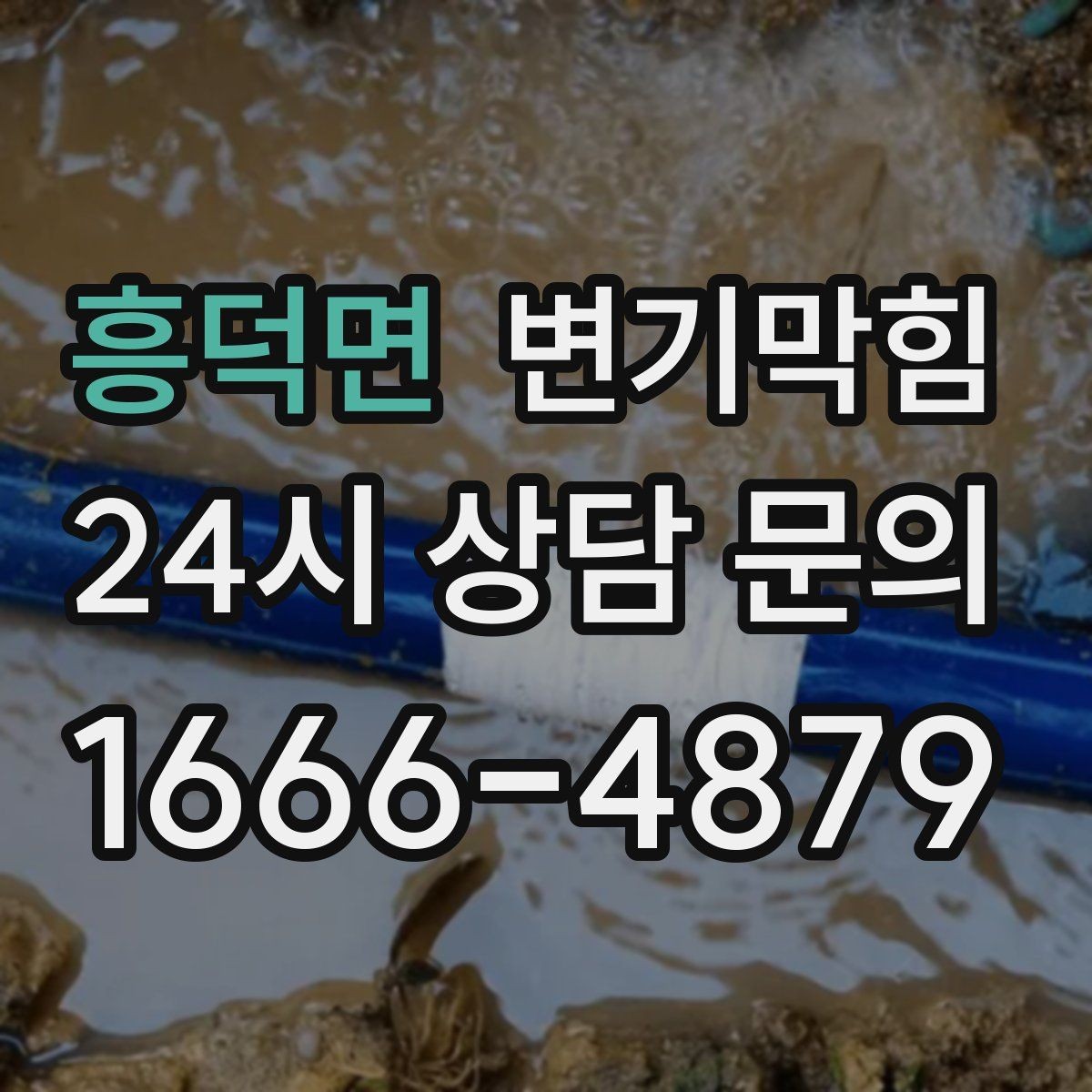 흥덕면 변기막힘 식당 배수구막힘 점심 준비 지킨 처리