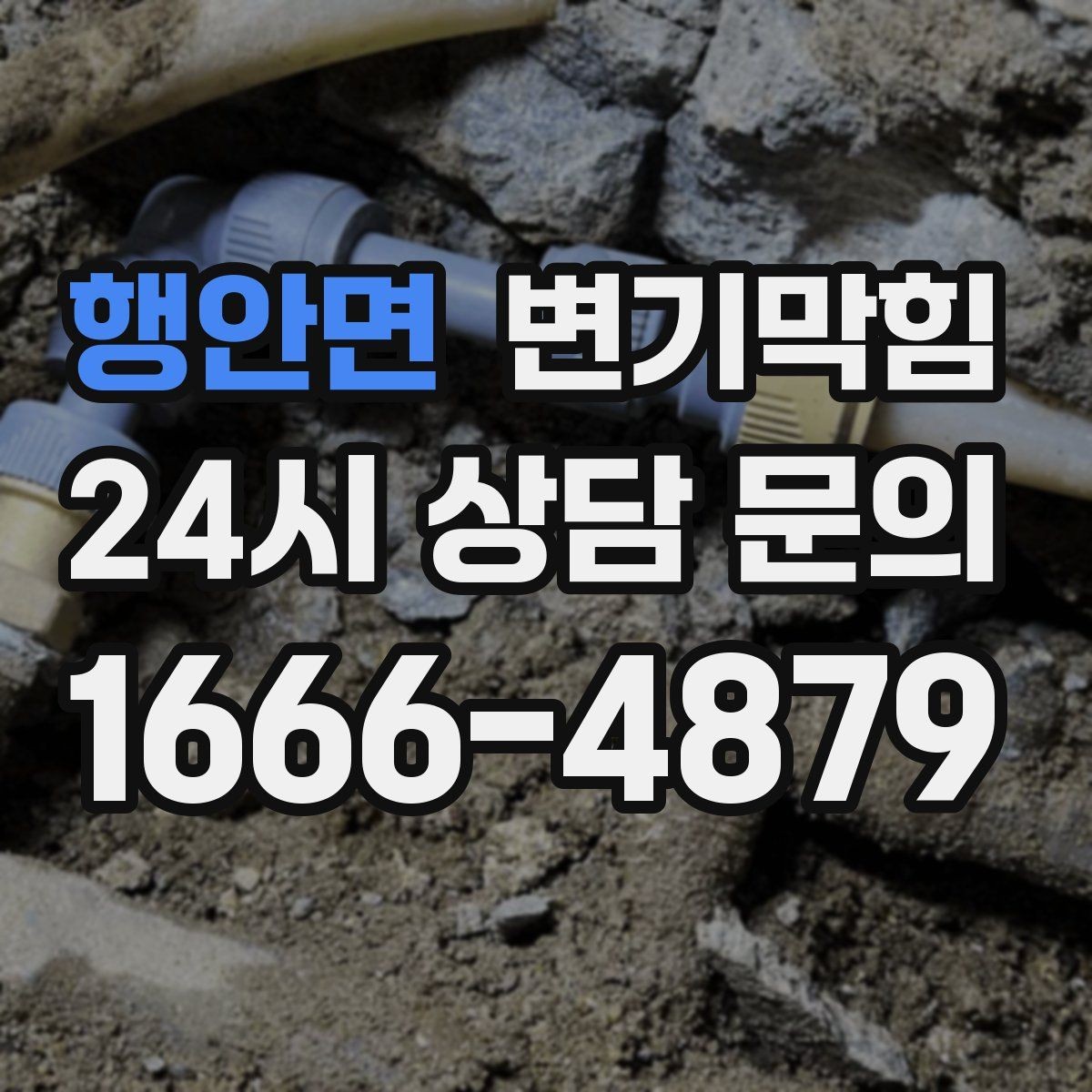 행안면 변기막힘 카페 화장실막힘 무향 소독으로 마감