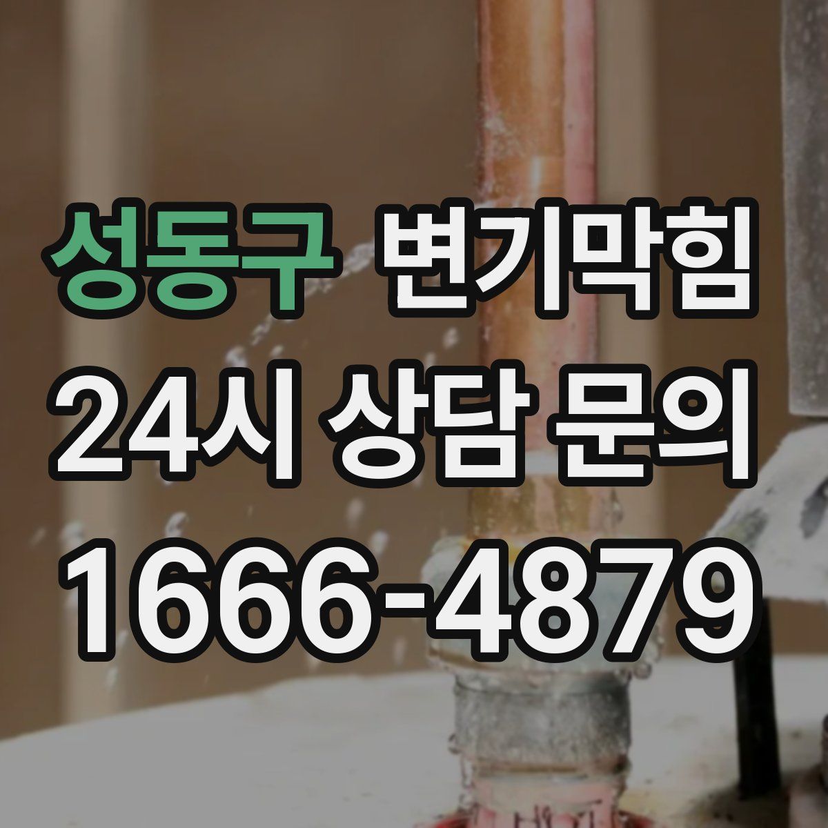 성동구 변기막힘