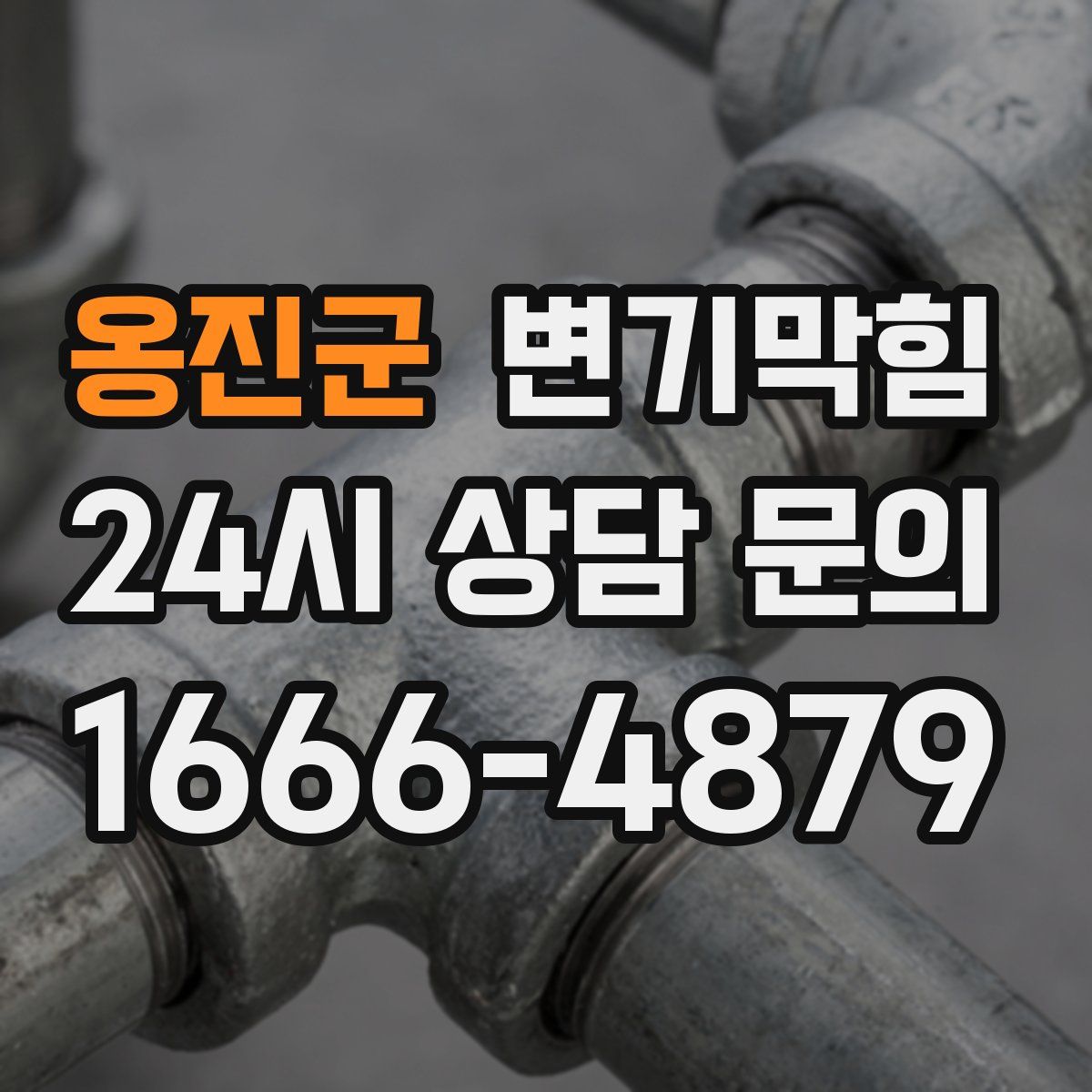 옹진군 변기막힘