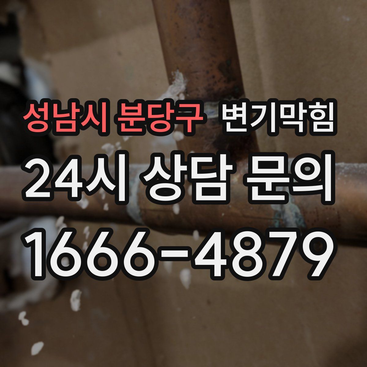 성남시 분당구 변기막힘