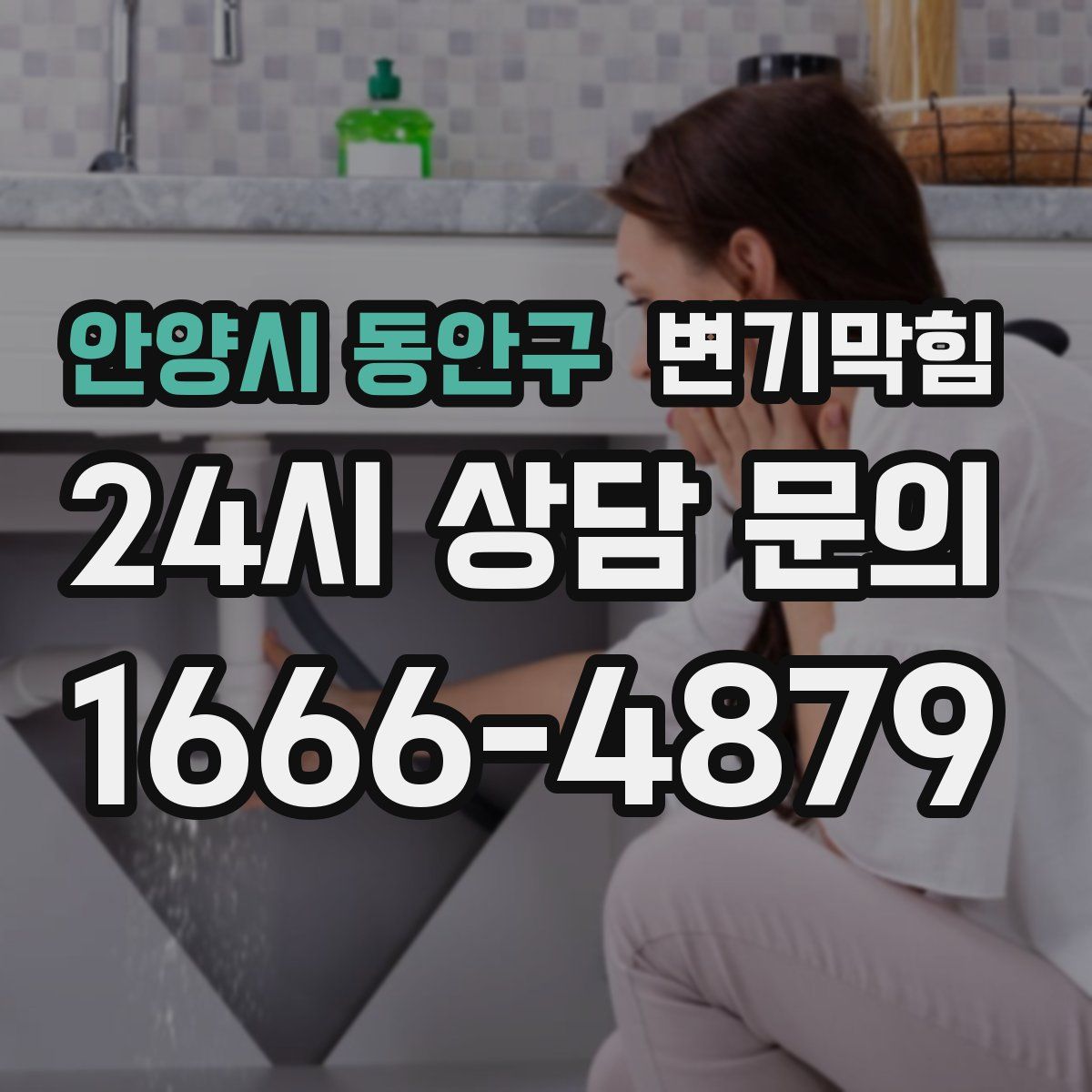 안양시 동안구 변기막힘