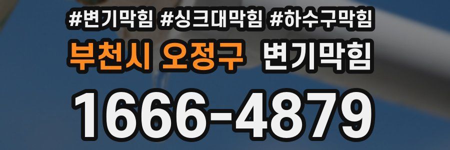 변기막힘