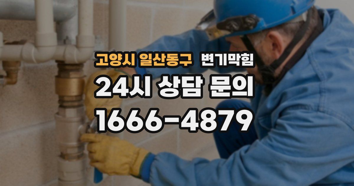 고양시 일산동구 변기