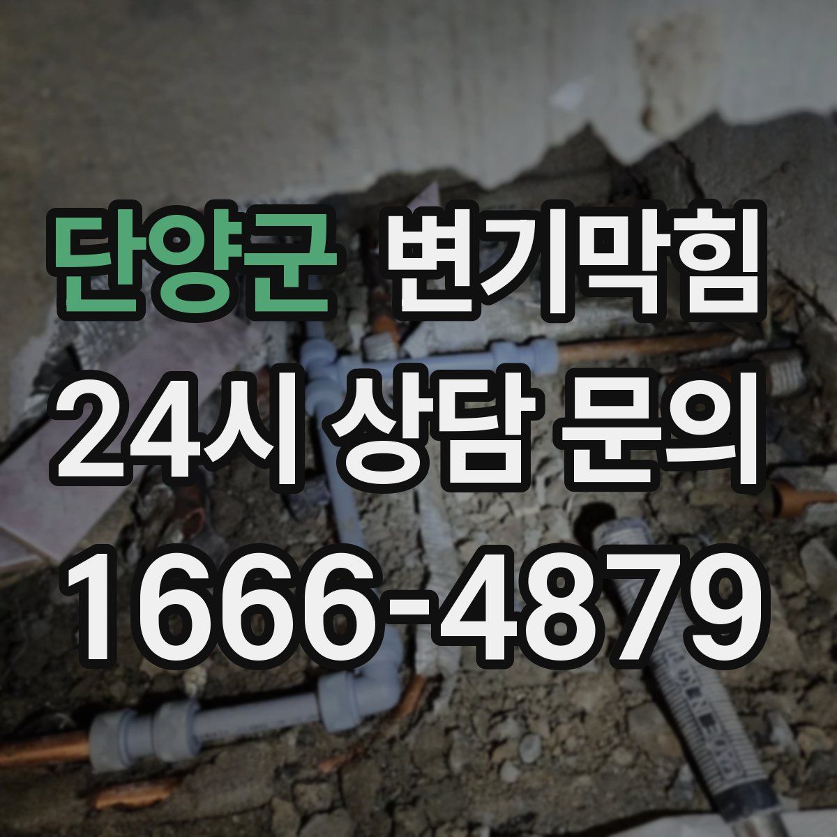 단양군 변기막힘