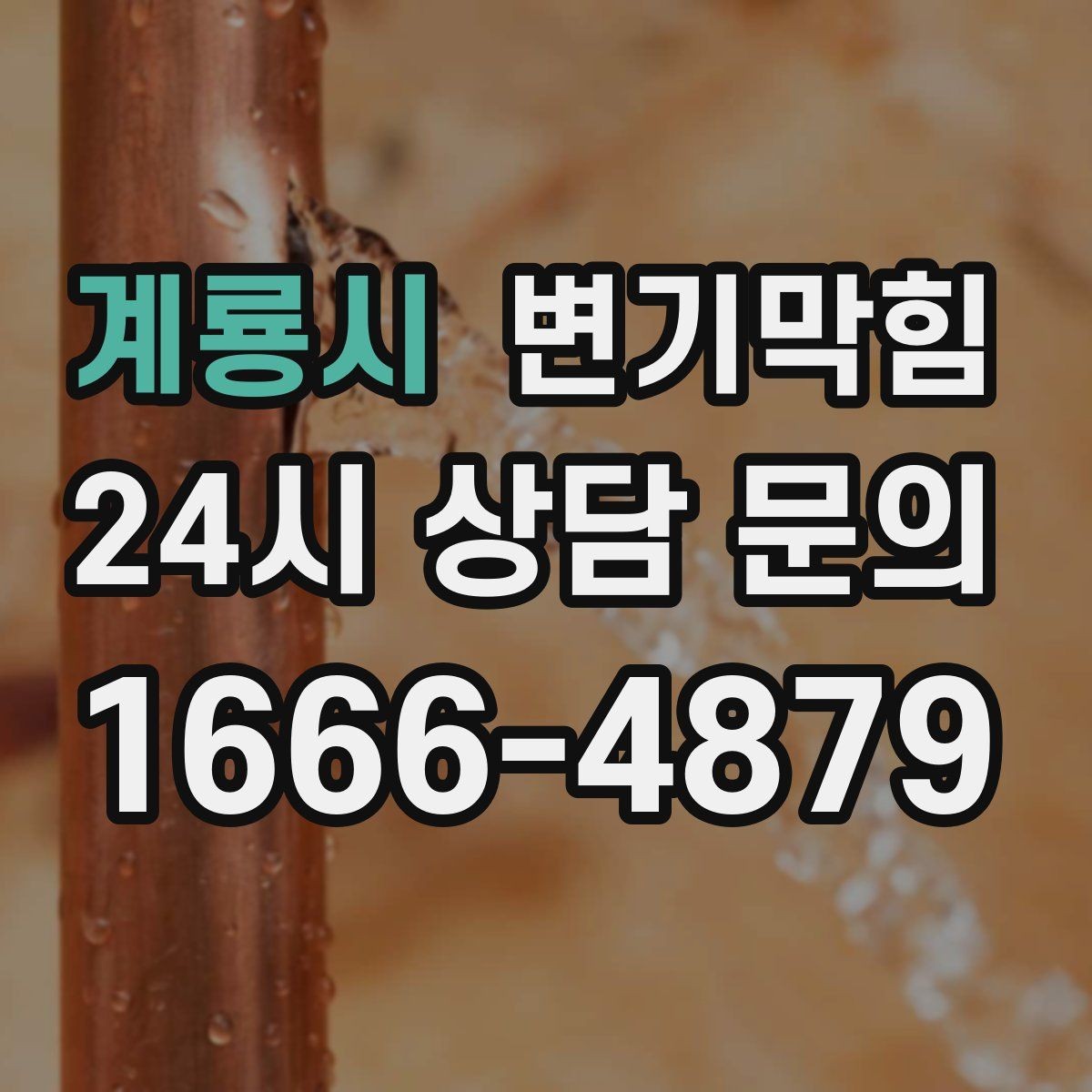 계룡시 변기막힘 식당 화장실역류 소독·세척 원패스