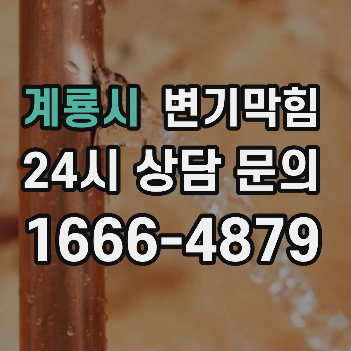 계룡시 변기막힘