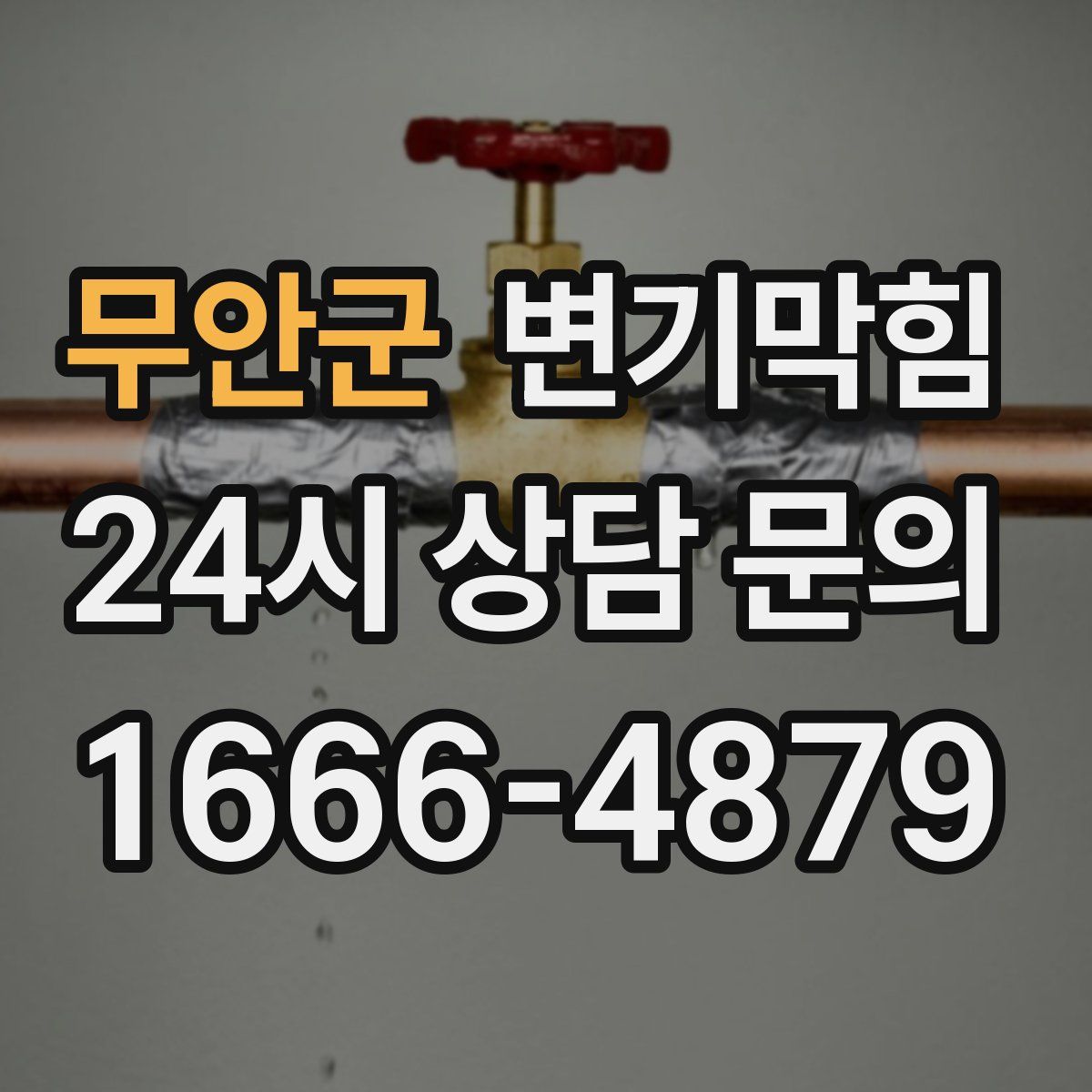 무안군 변기막힘