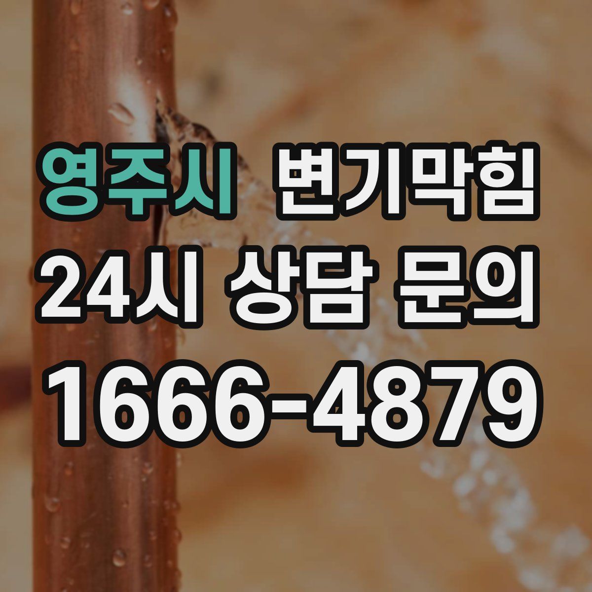 영주시 변기막힘