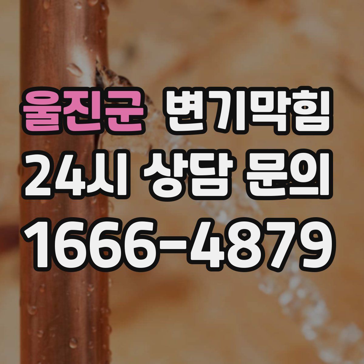 울진군 변기막힘