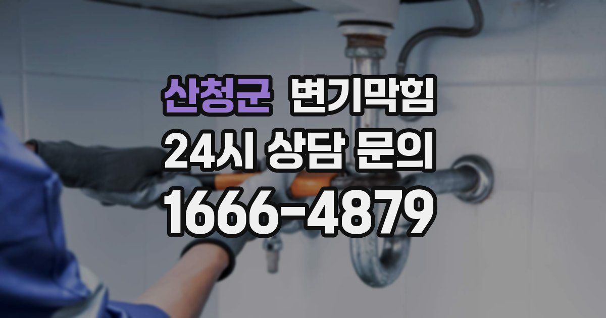 산청군 변기