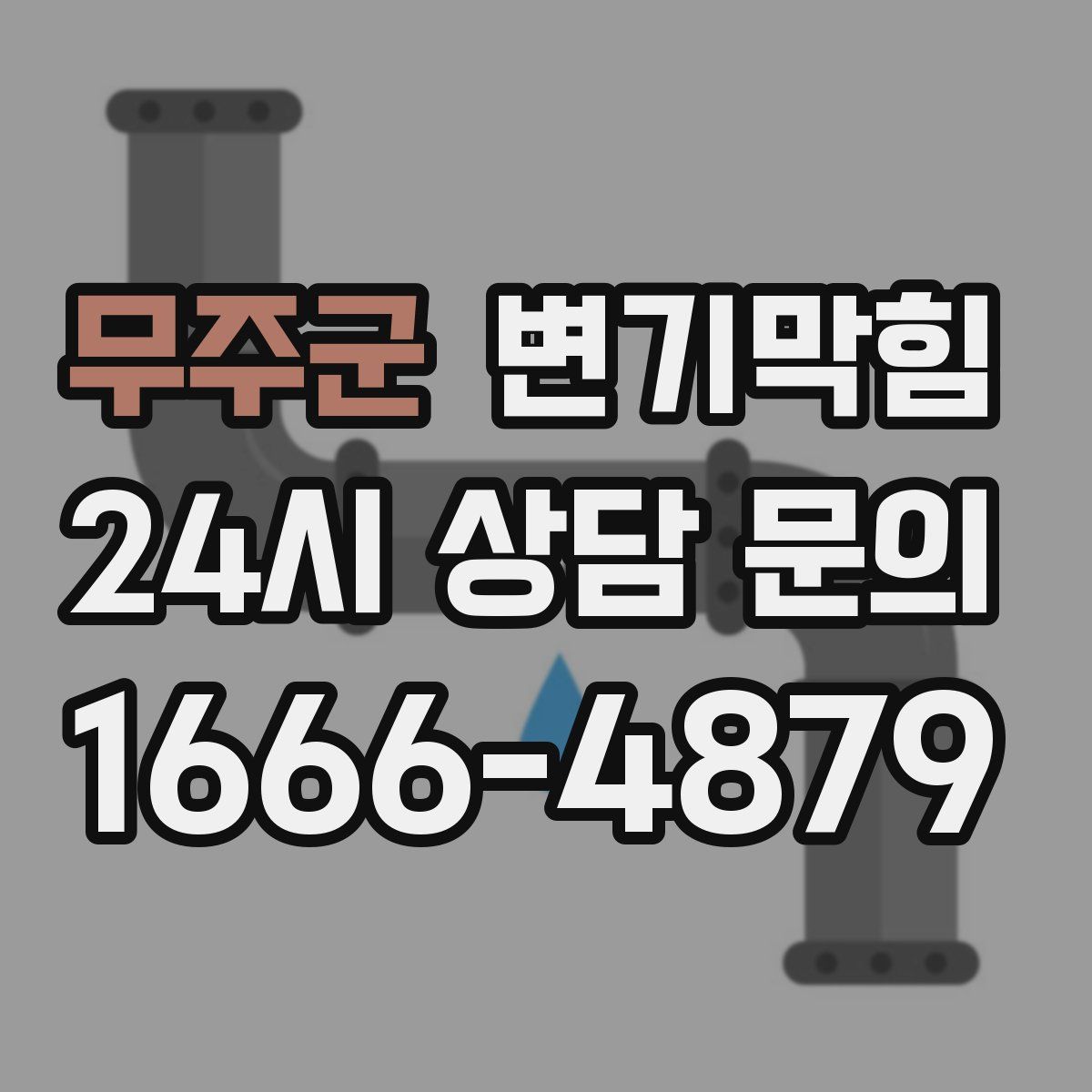 무주군 변기막힘