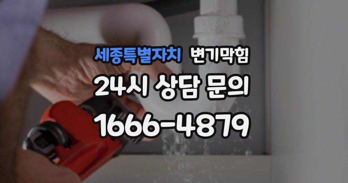 세종특별자치 변기