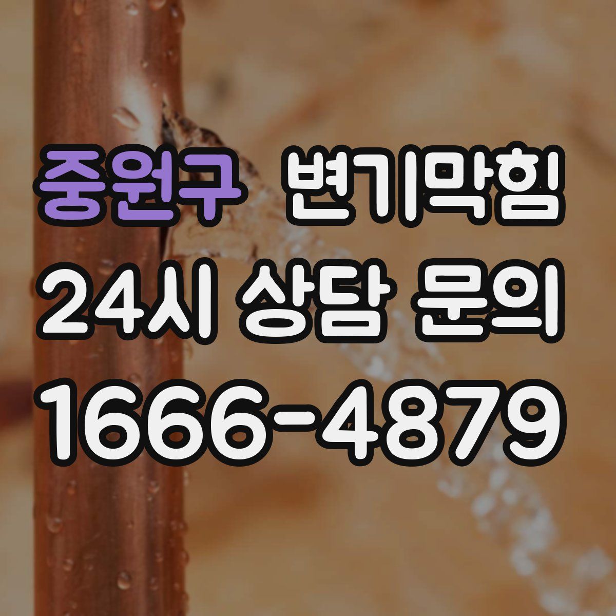 중원구 변기막힘